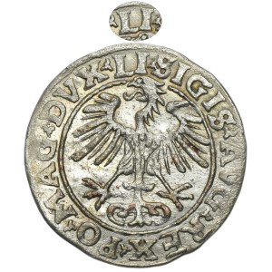 Sigismund II August, 1/2 Groschen Vilnius 1554 - RARE, LI/LITVA