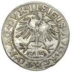 Sigismund II August, 1/2 Groschen Vilnius 1554 - RARE, LI/LITVA