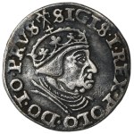 Zobacz podobne
