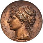 Österreich, Preismedaille der Internationalen Ausstellung in Paris 1878