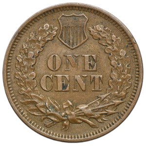 Stati Uniti, 1 centesimo, Filadelfia 1868 - Testa d'indiano