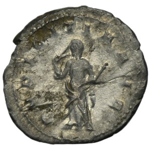 Roman Imperial, Herennia Etruscilla, Antoninianus