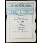 Zestaw akcji polskich - 7 szt.