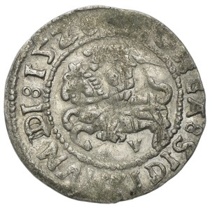 Sigismund I the Old, 1/2 Groschen Vilnius 1528 - RARE, digit V and MONEA