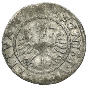 Sigismund I the Old, 1/2 Groschen Vilnius 1528 - RARE, digit V and MONEA