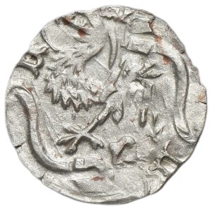 Silesia, Duchy of Oels, Konrad V or Konrad VII, Heller Oels