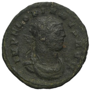 Roman Imperial, Florian, Antoninianus