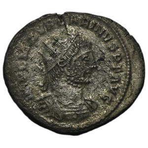 Roman Imperial, Carinus, Antoninianus