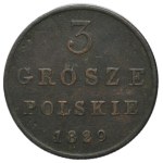 Zobacz podobne
