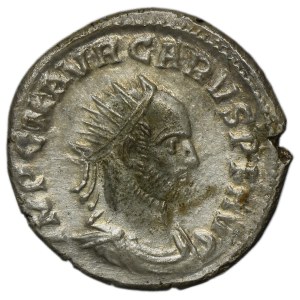 Roman Imperial, Carus, Antoninianus