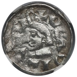 Władysław I. Herman, denár z Krakova – NGC MS62