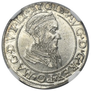 Sigismund II August, 4 Groschen Villnius 1568 - LI/LITVA - NGC MS63
