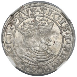 Zygmunt I Stary, Grosz Toruń 1530 - PRVS/PRVS - NGC MS63