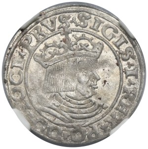 Sigismund I the Old, Groschen Thorn 1530 - PRVS/PRVS - NGC MS63