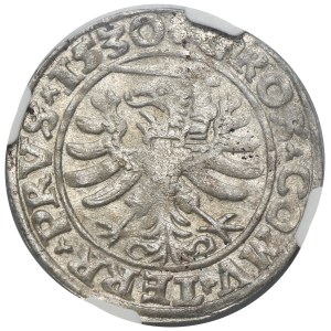 Zygmunt I Stary, Grosz Toruń 1530 - PRVS/PRVS - NGC MS63