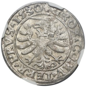 Sigismund I the Old, Groschen Thorn 1530 - PRVS/PRVS - NGC MS63