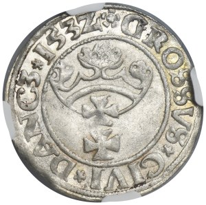 Sigismund I the Old, Groschen Danzig 1532 - PR - NGC MS62