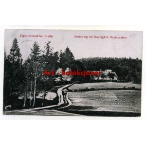 Bielsko Biala - Bielitz - Zigeunerwald