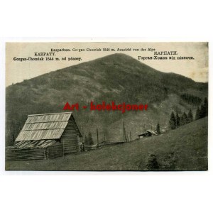Ukraina - Karpaty -Chomiak
