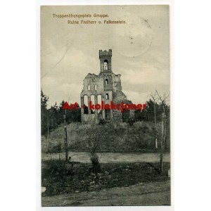 Grupa - Gruppe - Ruiny Zamku Falkenstein