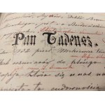 RĘKOPIS PAMIĄTKA Z SELEKTY - Era nowoczesna literatury polskiej 1877 - 1878 [oprawa]