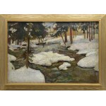 Stanisław KAMOCKI (1875-1944), Potok w lesie