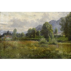 Fritz MÜLLER-LANDECK (1865-1942), Meadow