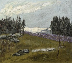 Wojciech Otton FLECK (1903-1972), Dzień, który nie był [Krokusy w Tatrach]