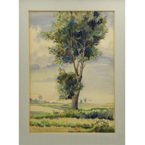 Tadeusz KOKIETEK (1920-1982), Samotne drzewo, przed 1941