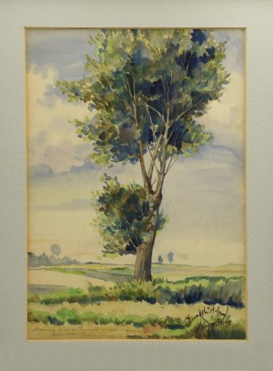Tadeusz KOKIETEK (1920-1982), Samotne drzewo, przed 1941