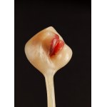 Alina Szapocznikow (1926 Kalisz - 1973 Praz-Coutant), Lampe-bouche I (Illuminated Mouth I), 1967.