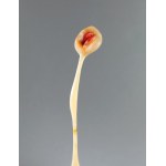 Alina Szapocznikow (1926 Kalisz - 1973 Praz-Coutant), Lampe-bouche I (Illuminated Mouth I), 1967.