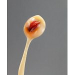 Alina Szapocznikow (1926 Kalisz - 1973 Praz-Coutant), Lampe-bouche I (Illuminated Mouth I), 1967.