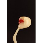 Alina Szapocznikow (1926 Kalisz - 1973 Praz-Coutant), Lampe-bouche I (Illuminated Mouth I), 1967.
