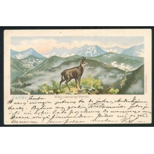 TATRY. Widok z czerwonego Wierchu.
