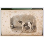 MILLS John - The Life of a Foxhound. With seven Illustrations on steel. London 1848; H. Hurst. 8, pp. [6], II, [2],...