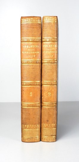 STRASZEWICZ G. - I Polacchi della rivoluzione del 29 novembre 1830. 1833-1834. ex....