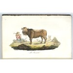 ZAYDLER B. – Storia della Polonia. 1831. Egz. kompletny. Jedna z piękniej wydanych w XIX w....