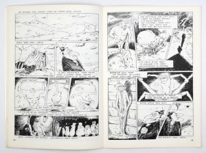 The Princess of Pi... Text by Alexander Fredro. Drawn by Krzysztof Rosiecki. Warsaw 1991. oficyna 