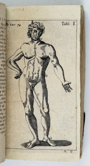RYSZKOWSKI F. - The state of the natural healthy man. Cracow 1786.