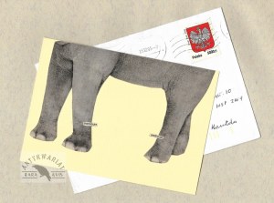 [SZYMBORSKA Wisława]. Die-cut with Wislawa Szymborska's handwritten letter to Aleksander Rybczynski in Toronto on the reverse....