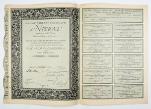 NITRAT, Chemical Works, Joint Stock Company [...]. Five bearer shares of the 1st issue at 500 marks each.