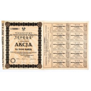 TEPEGE, Towarzystwo dla Przedsiębiorstw Górniczych, Spółka Akcyjna w Krakowie....