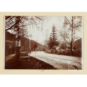 [GÓRY - Karpaty - Beskidy Wschodnie - Hucuł przy drodze - fotografia pozowana, widokowa]. [pocz. XX w.]...