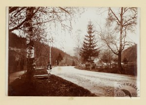 [MOUNTAINS - Carpathian Mountains - Eastern Beskids - Hucul by the road - posed, view photograph]. [early 20th century]....