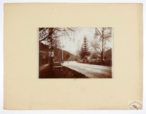 [MOUNTAINS - Carpathian Mountains - Eastern Beskids - Hucul by the road - posed, view photograph]. [early 20th century]....