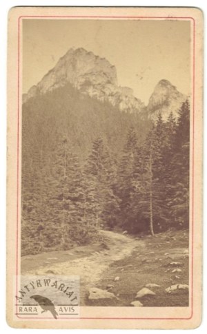 A. Szubert - The Cracow Gorge in the Tatra Mountains in a photograph from the 1880s.