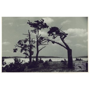 H. Hermanowicz - Pustynia Błędowska - fotografia z 2. poł. XX w.