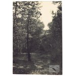 [KRYNICA Morska - fotografie widokowe]. [l. 30. XX w.]. Zestaw 13 fotografii form. ca 10x14,...