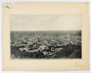 Panorama of the city of Lviv in a late 19th-century light print?
